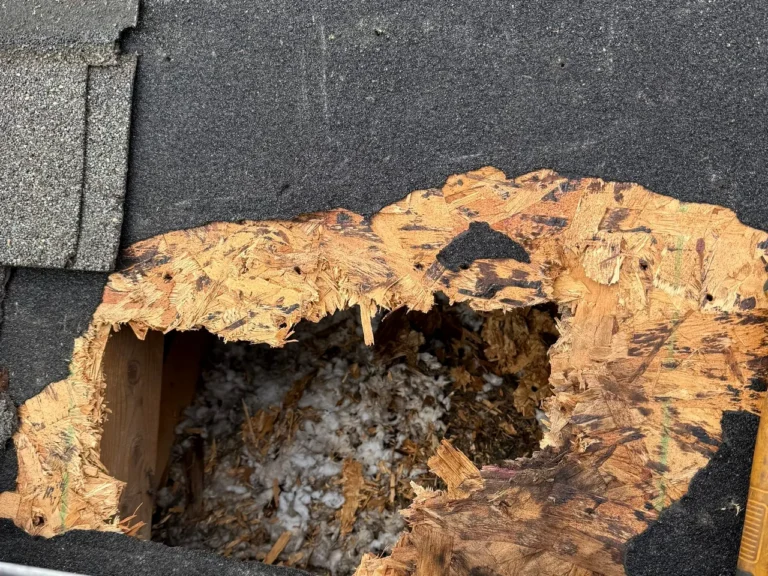 Rotted roof decking exposed during a tear-off in Dayton, Ohio